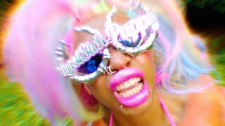 LUSTSICKPUPPY- EGO BRUISER  [Official Music Video]