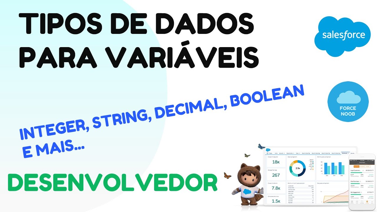 Papeis: Desenvolvedor Salesforce - Tipos de dados para variáveis em APEX
