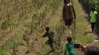 Download lagu WOW..DAWANGAN NGMUK KEJAR ANAK KECIL SAMPAI TENGAH SAWAH 😨 mp3