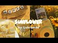 Sunflower By Lukrembo Non Copyright Music Lofi Music