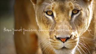 janet jackson - what&#39;ll i do