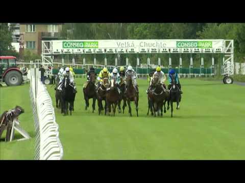 CENA FITMIN SOLUTION-16.09.2012-Harfa(DS Pegas)Petr Foret