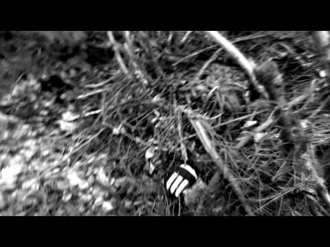 Big Zis: «Suure Raege» (Video 9/13)