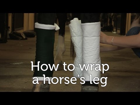 , title : 'How to wrap a horse's legs'