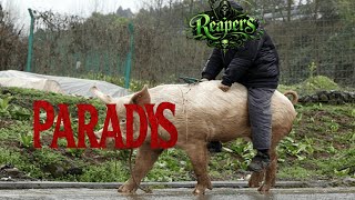 Miniaturka - REAPERS VS PARADYS 50-1 ORIGINS METIN2 CLAN WAR