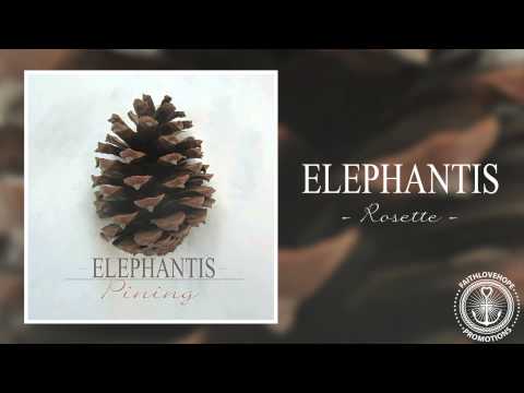 Elephantis - Rosette