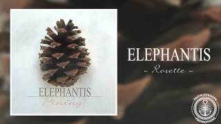 Elephantis - Rosette