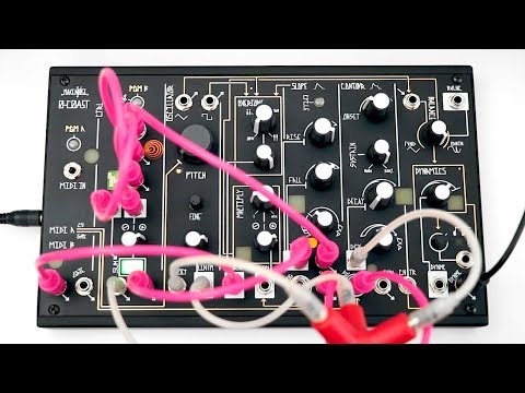 0-COAST SYNTHESIZER: Weird & Wonderful