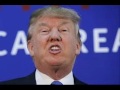 The Monkey Who Became President