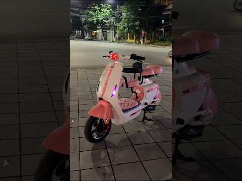 Xe điện V1 Plus Livo