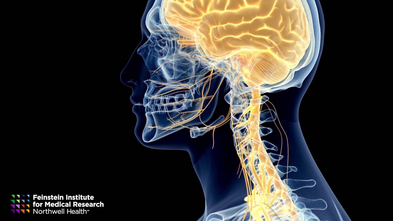 Bioelectronic Medicine Researcher: Dr. Jared Huston