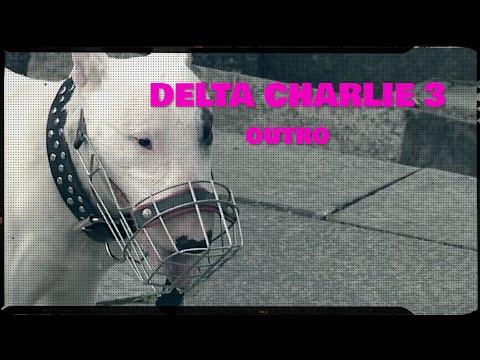 DELTA CHARLIE 3 - OUTRO