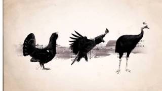 Bird Anthem / Michael Nyman