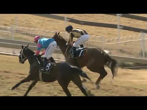 The Bosbok Turffontein 10 August 2019