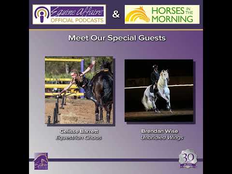 Equine Affaire: A Sneak Peek into Fantasia for February 15, 2024