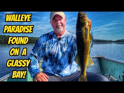 WALLEYE PARADISE FOUND ON A GLASSY BAY- New ...