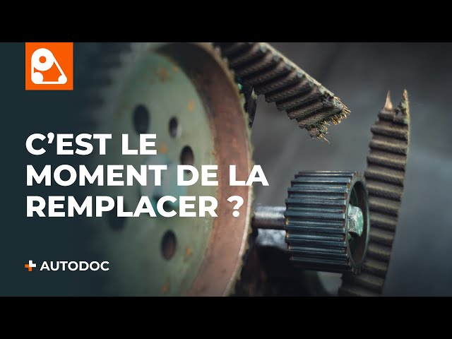 Regardez le vidéo manuel sur la façon de remplacer DACIA 1300 Courroie moteur