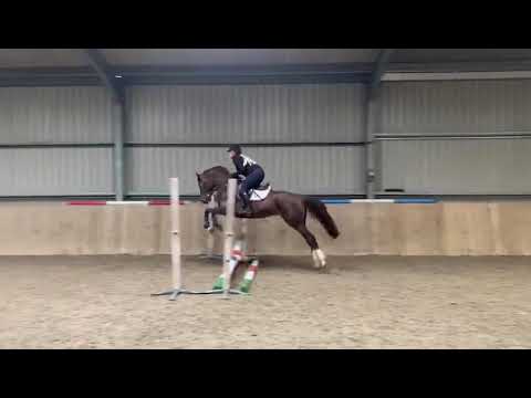 2015 mare global express x corland