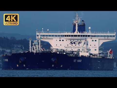 Ships Pass the Bosphorus | No Music! Natural Sound w/ Giant Vessels