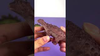 Download lagu Unboxing Asmr Colorful Dinosaur T-rex #toys #jurassicworld #asmr #jurassicworldrebirth #dinosaur mp3 Download lagu Unboxing Asmr Colorful Dinosaur T-rex #toys #jurassicworld #asmr #jurassicworldrebirth #dinosaur mp3