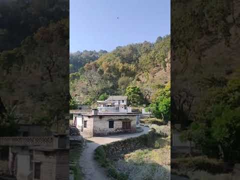 #Royals_of_Magatha #garhwalisong  #uttrakhand #alkesh #lovestatus  #yamkeshwar #uttrakhand