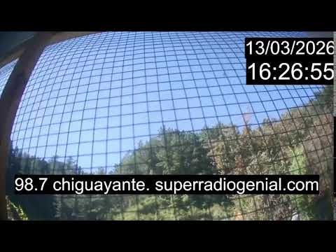 Chiguayante Bio Bio Chile, en Vivo. Live Cam, Camara en vivo.