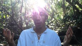 Buy or Purchase Ayahuasca (Iowaska) - Precautions & Sources