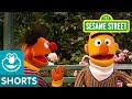 Sesame Street Bert S Imagination