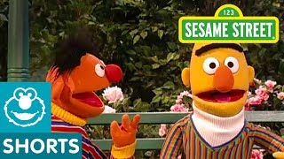 Sesame Street: Bert&#39;s Imagination