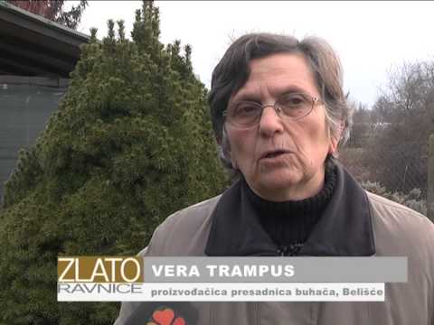 Buhač kao botanički insekticid