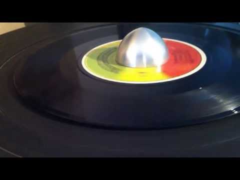 TAKANA ZION & VICTOR DEME ~ Reggae Donkilli (TAKANA ZION ~ Mama Africa, B Side)