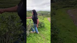 Download lagu Fresh grass mp3 Download lagu Fresh grass mp3