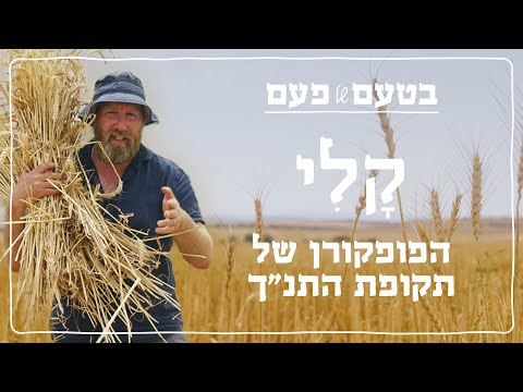 איך הכינו פופקורן בתקופת התנ"ך? 🍿 בטעם של פעם: קלי