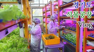 경기도농업기술원 식물공장