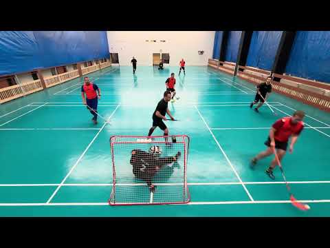 11.2. - celý záznam 