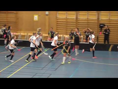 18/2-18 Damer Div.1 VGR Kärra  - Lindås (2-6) Per1a