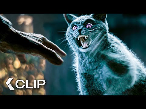 Karajan will nicht in Mortimers Zoohandlung! - DIE SCHULE DER MAGISCHEN TIERE 3 Clip (2024)