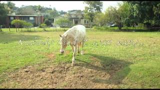 My darling, i'll miss you.