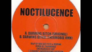 Bang On 8 - Noctilucence - Darwins Bitch