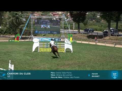 CIR SHF 2018 - CSO Cluny 6 ans - Chayori du Clos