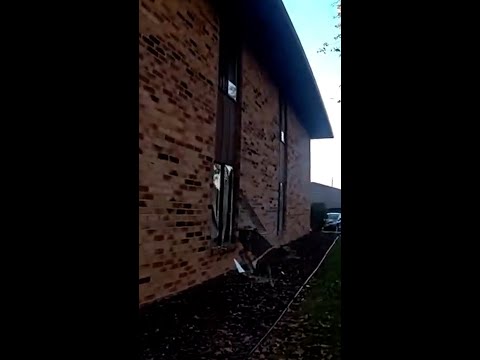 Police cam shows deer smashing through apartment window