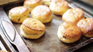 Hollies, a place to fight social isolation