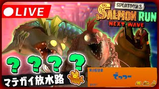 【ライブ配信】これでも一応カンスト勢のビッグラン - スプラトゥーン3・サーモンランNW