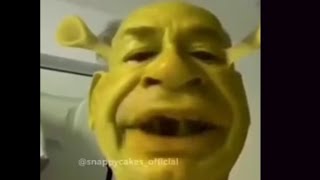 Top 5 Shrek