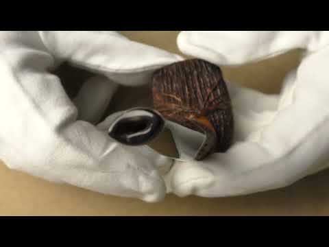 Amorelli Penna di San Michele *** - pipe 349