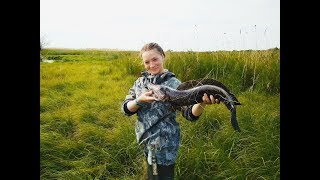Ссылка