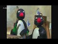 Pingu The Pingu Show Episode 78
