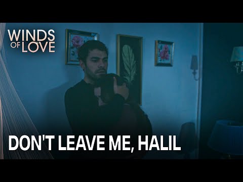 Zeynep'in Halil'i şaşırtan korkusu | Rüzgarlı Tepe 182. Bölüm