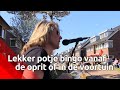 Lekker potje bingo vanaf de oprit of in de voortuin