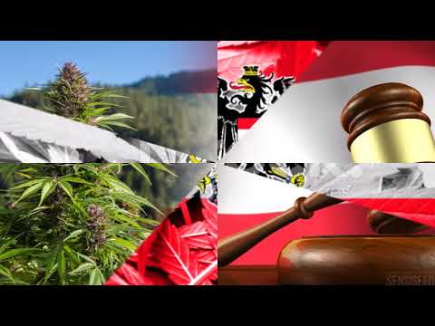 Cannabis Legalisierung in Österreich